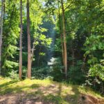 Property photo for land for sale in Alexander County North Carolina