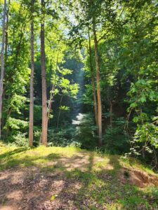 Property photo for land for sale in Alexander County North Carolina
