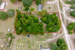Property photo for land for sale in Levy County Florida
