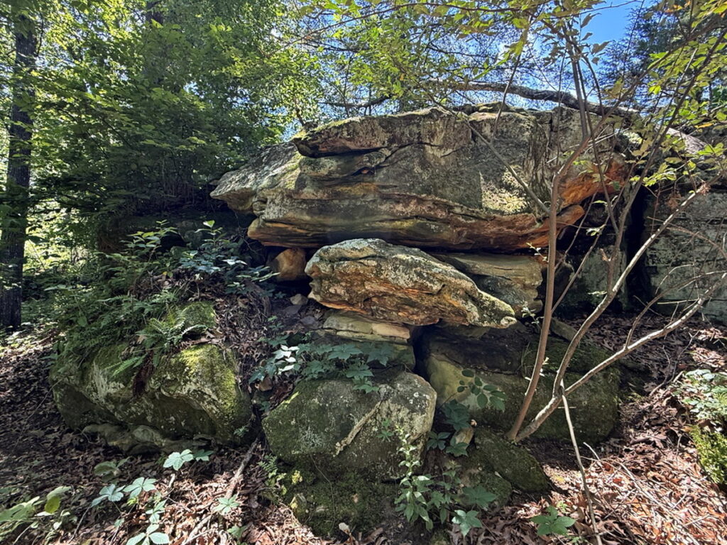 d57ad3e7-800b-4451-ab3b-a7db8d59875b.jpg