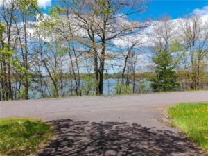 Property photo for land for sale in  County Minnesota