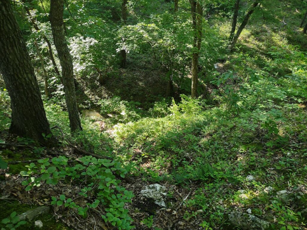 d7ef0328-3cff-4eba-af3e-a077a8972943.jpg