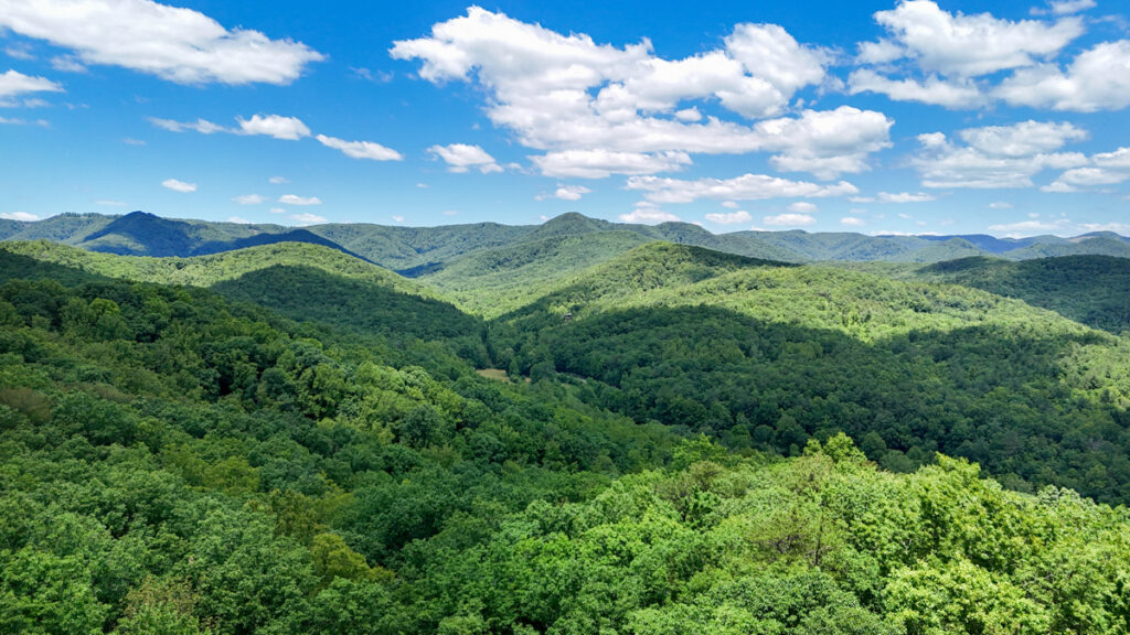d8c19b21-427e-4758-b0b4-aad554d2575f.jpg