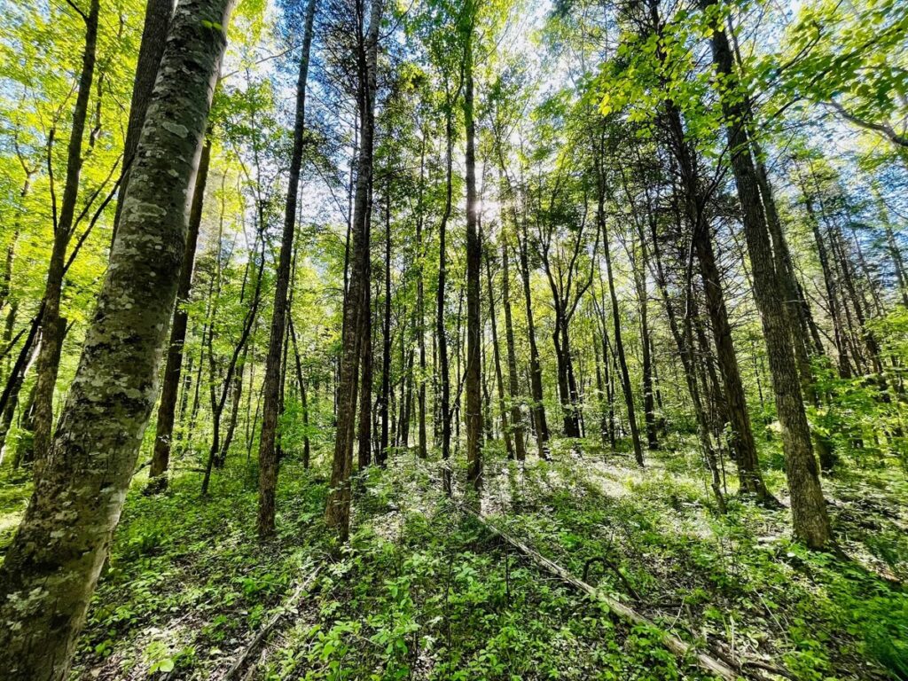 dbe7322c-9f06-49fb-bade-67b9efc068cf.jpg