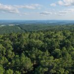 Property photo for land for sale in Latimer County Oklahoma