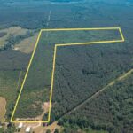 Property photo for land for sale in Jackson County Louisiana