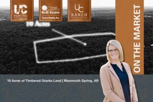 Property photo for land for sale in Fulton County Arkansas
