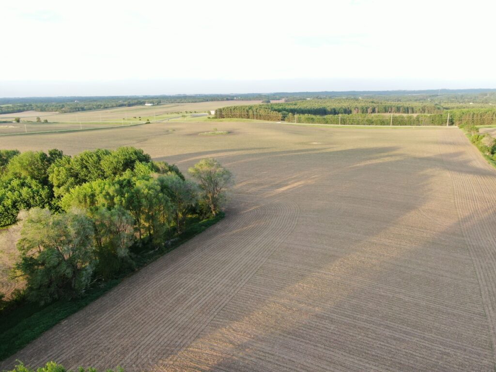 e0ae3f21-bf4c-4e89-854b-ef464224c432.jpg