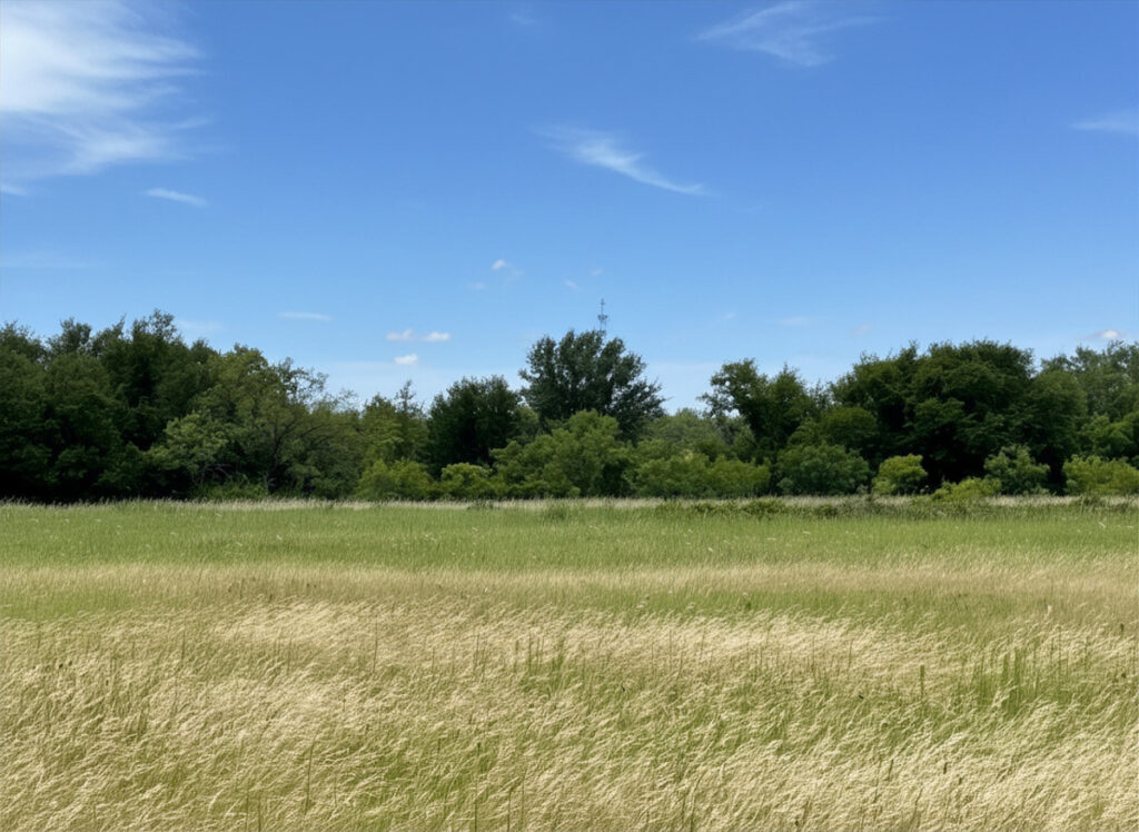 e0f09a84-17a7-4242-ac6c-613908f3e0c3.jpg