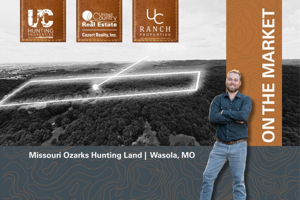 Property photo for land for sale in Ozark County Missouri