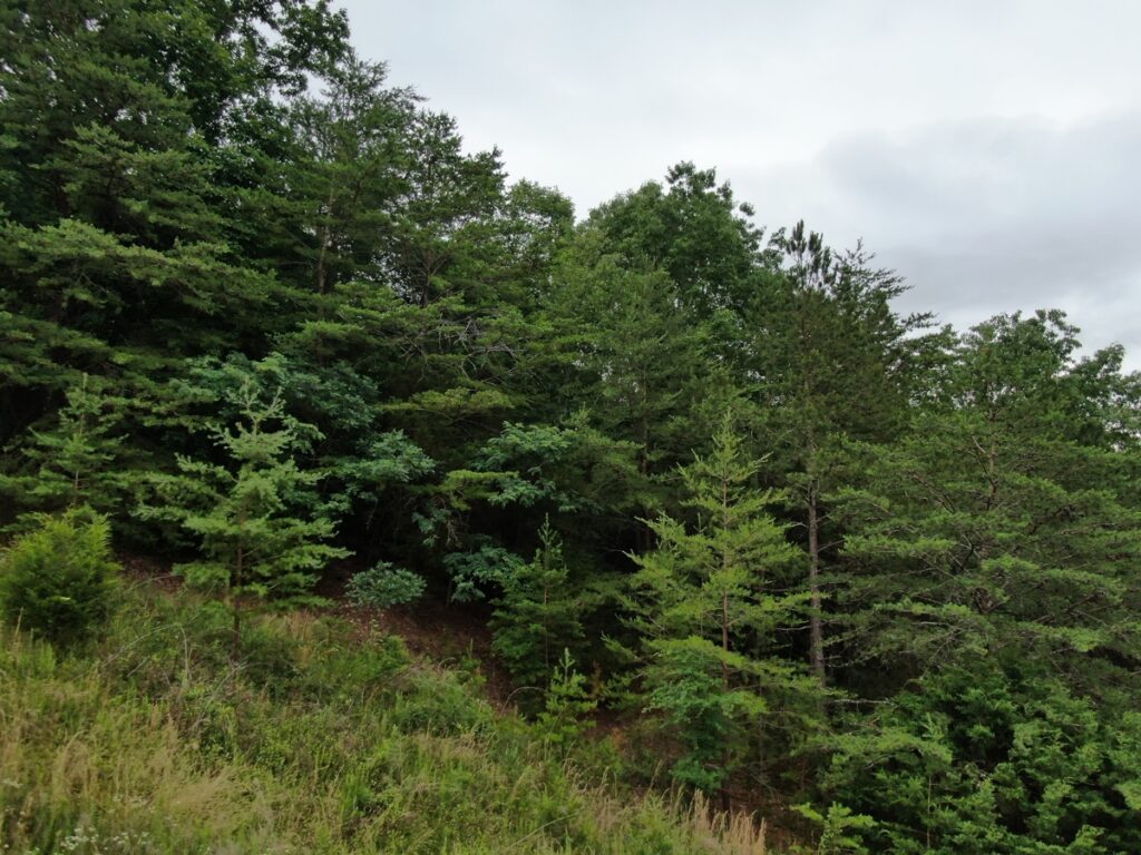 e275170f-3df6-4910-a492-23298e4baa85.jpg
