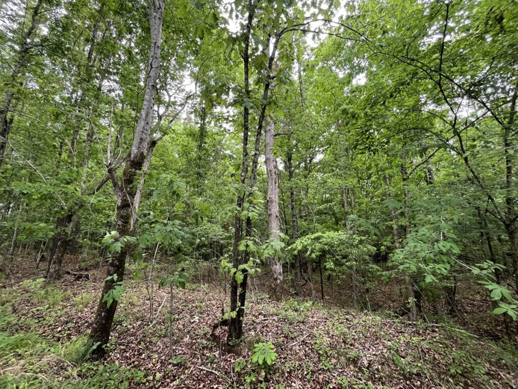 e2826b6f-d5ca-4389-9d4d-9cfbe879ac60.jpg