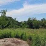 Property photo for land for sale in Red River County Texas