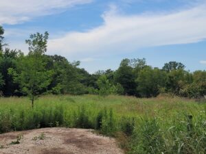 Property photo for land for sale in Red River County Texas