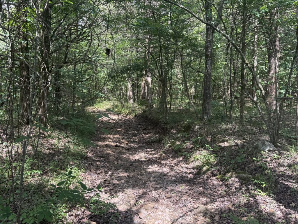 Property photo for land for sale in Sharp County Arkansas