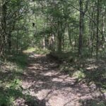 Property photo for land for sale in Sharp County Arkansas