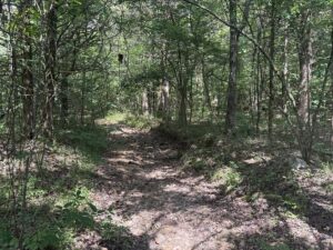 Property photo for land for sale in Sharp County Arkansas