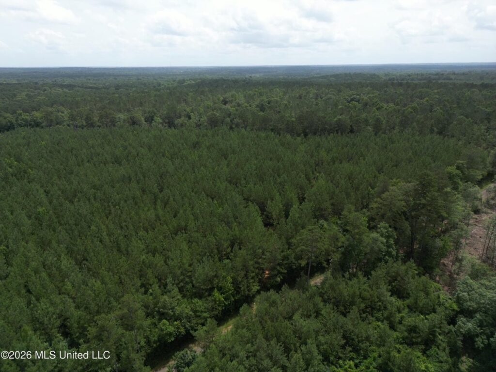 e4412560-9007-4d64-8db7-072bc03925dc.jpg