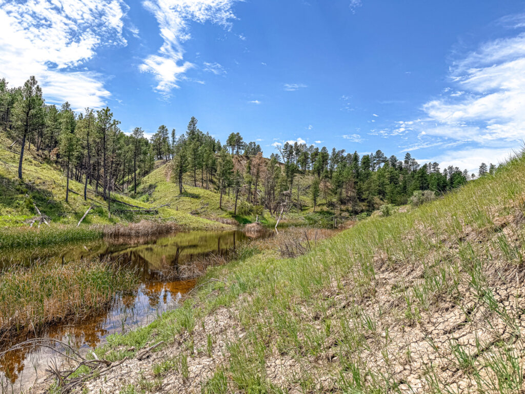 e635593a-0d68-4530-bc0f-9292742e1c65.jpg
