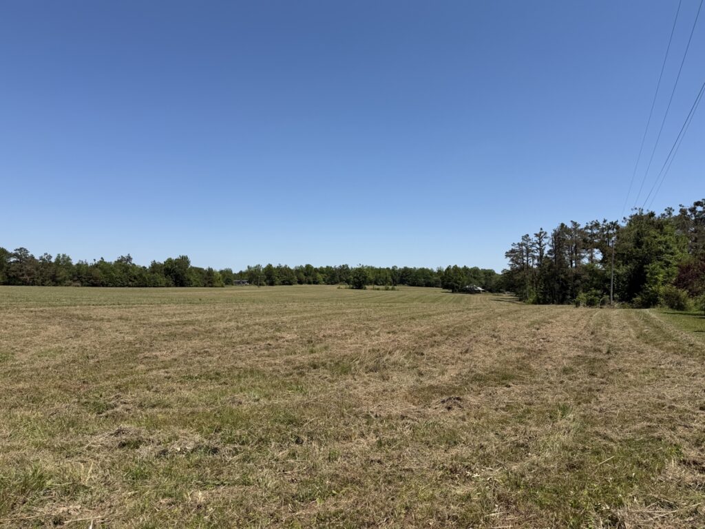 e946ae12-bcc6-49d3-a1d2-1977d5f429ed.jpg
