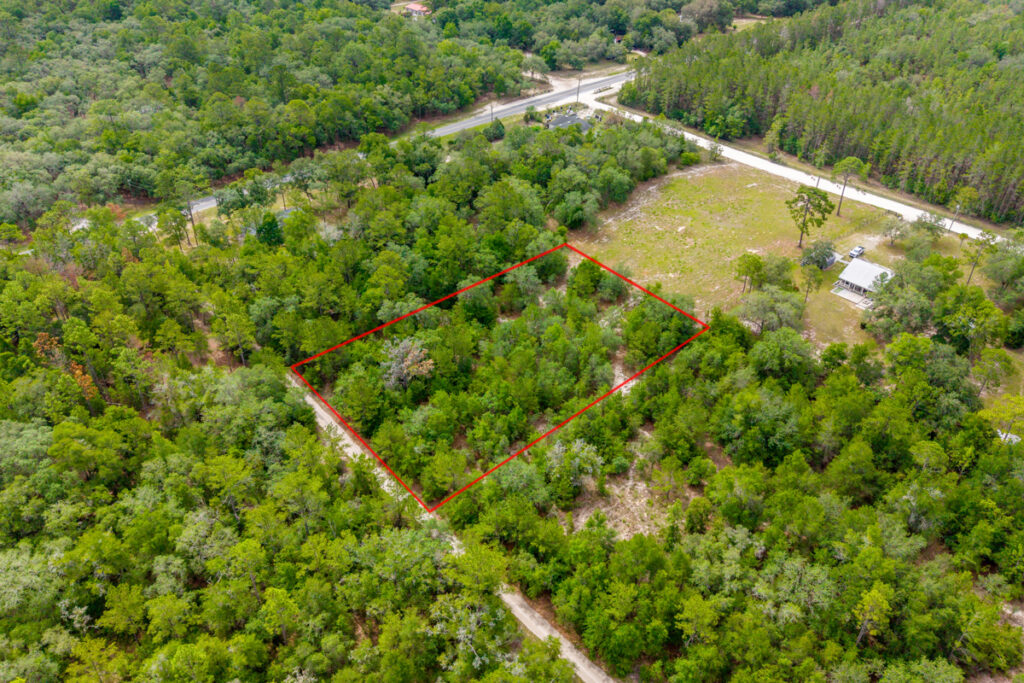 Property photo for land for sale in Levy County Florida