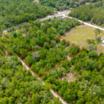 Property photo for land for sale in Levy County Florida