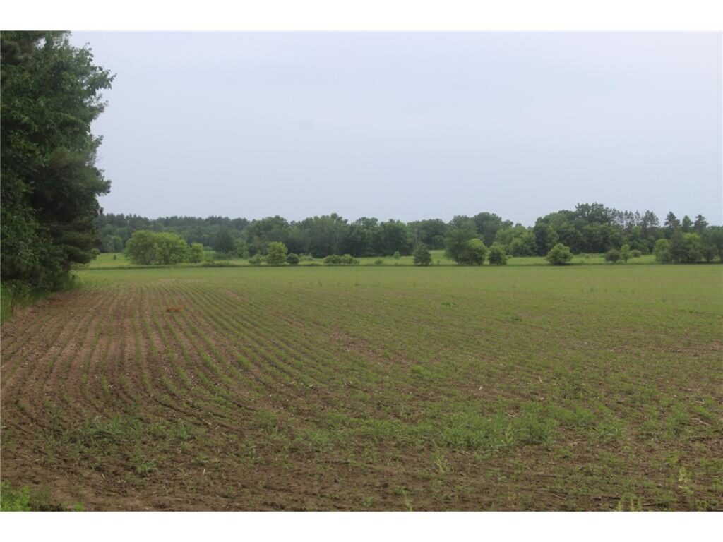 Property photo for land for sale in Kanabec County Minnesota