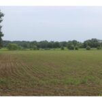 Property photo for land for sale in Kanabec County Minnesota