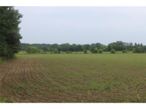 Property photo for land for sale in Kanabec County Minnesota