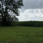 Property photo for land for sale in Simpson County Kentucky