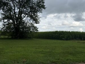 Property photo for land for sale in Simpson County Kentucky