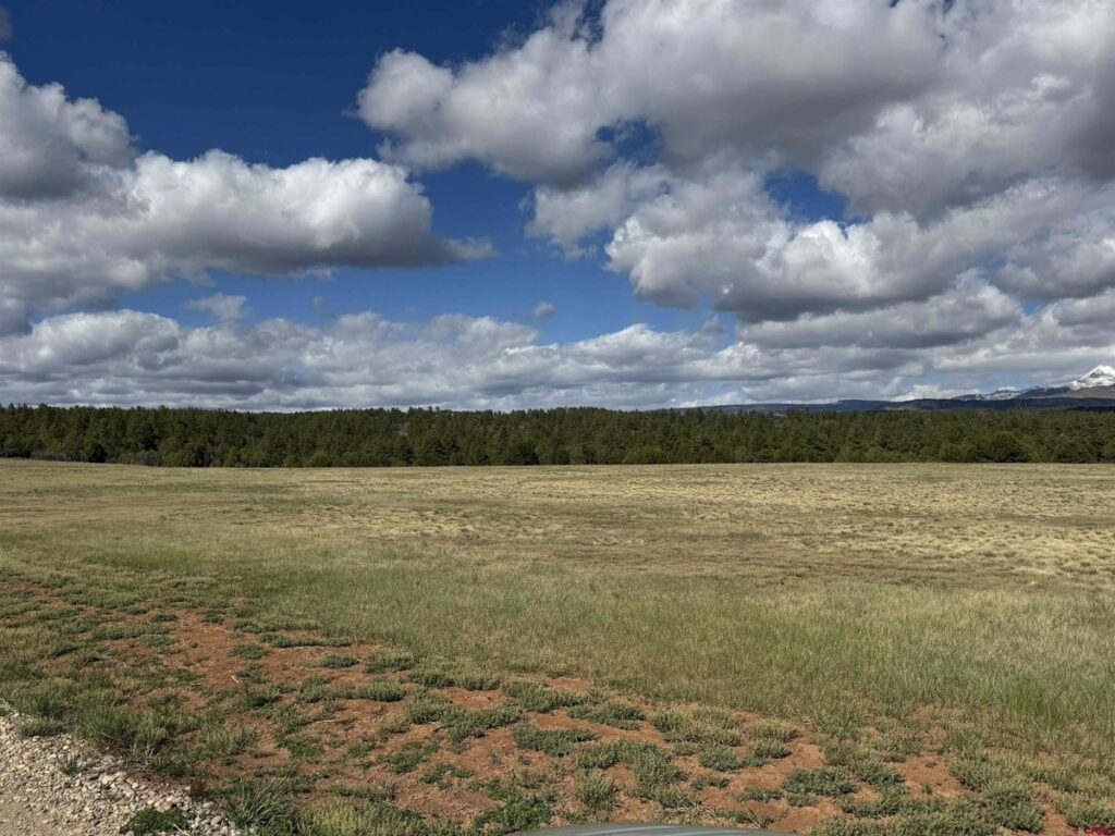 Property photo for land for sale in Montezuma County Colorado