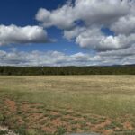 Property photo for land for sale in Montezuma County Colorado