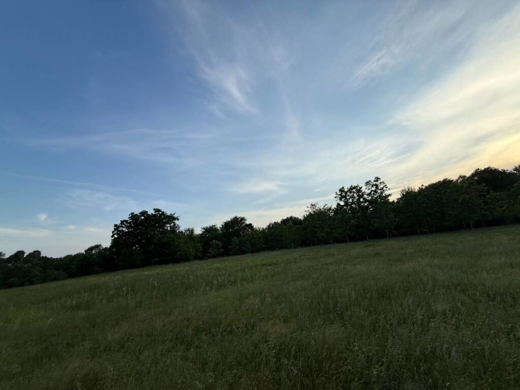 f059d049-bd64-415f-8988-2d20231b39ab.jpg