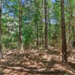 Property photo for land for sale in Panola County Texas