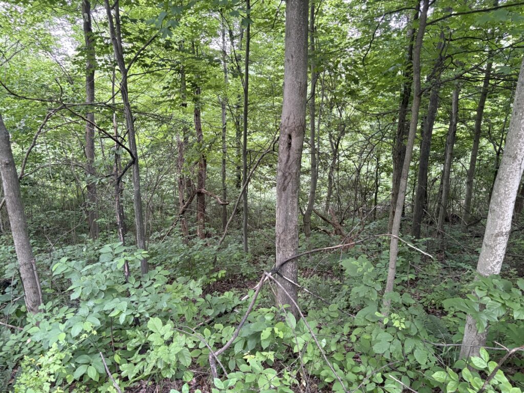 f422fe93-ccf5-4caa-85e2-6e24b66f23bf.jpg