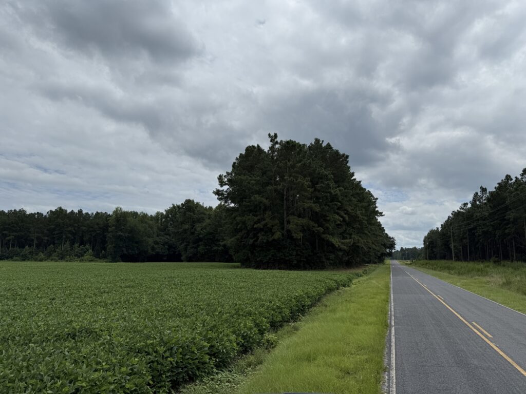 f4a7d6a1-2509-4637-9dfe-2f69fa968639.jpg