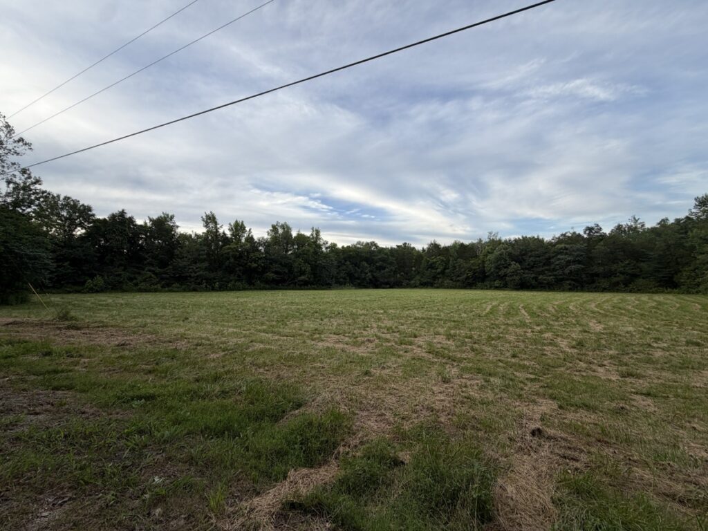 f4c22359-6c09-4263-8e21-8332e558a61e.jpg