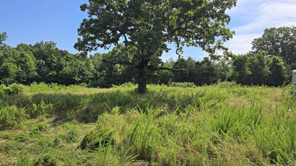 Property photo for land for sale in Ripley County Missouri
