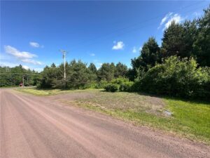 Property photo for land for sale in Pine County Minnesota