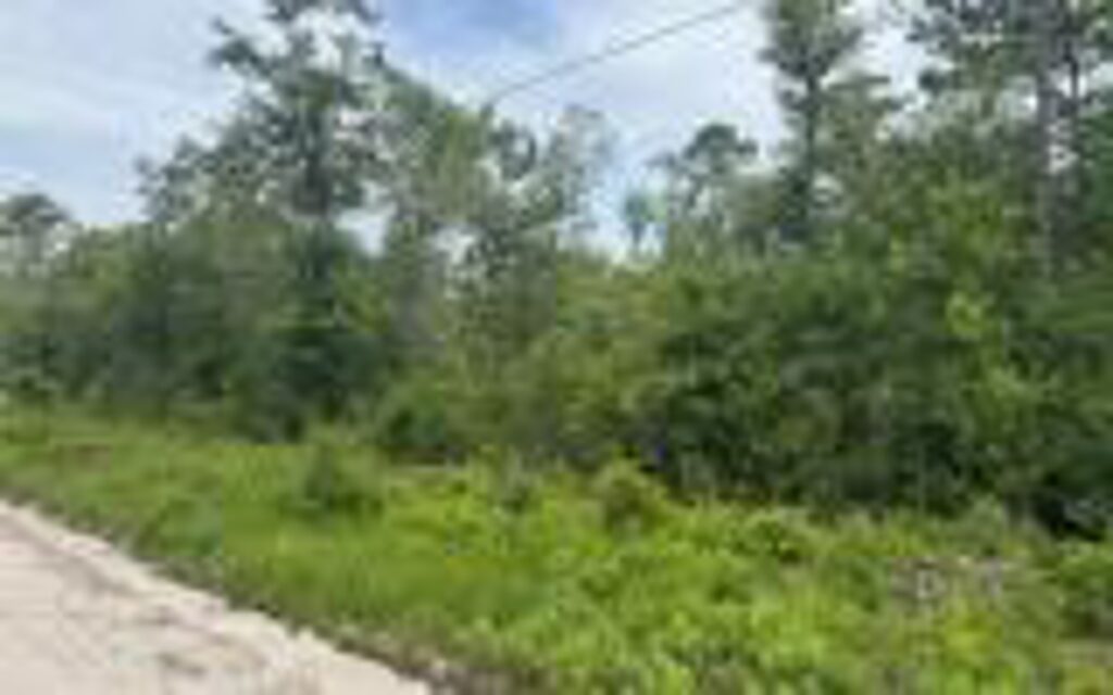 f7b7a235-d802-4913-abf1-b937eccc3634.jpg