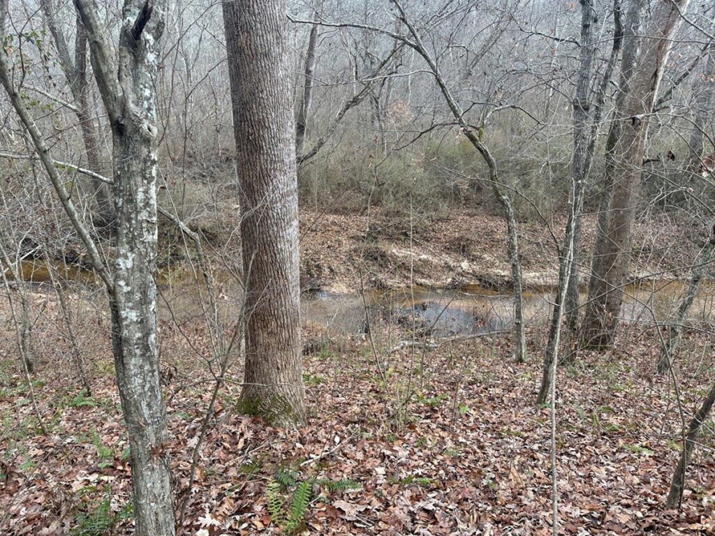f8b6d6d4-26d8-49f1-83b6-f7fb09a7a0da.jpg