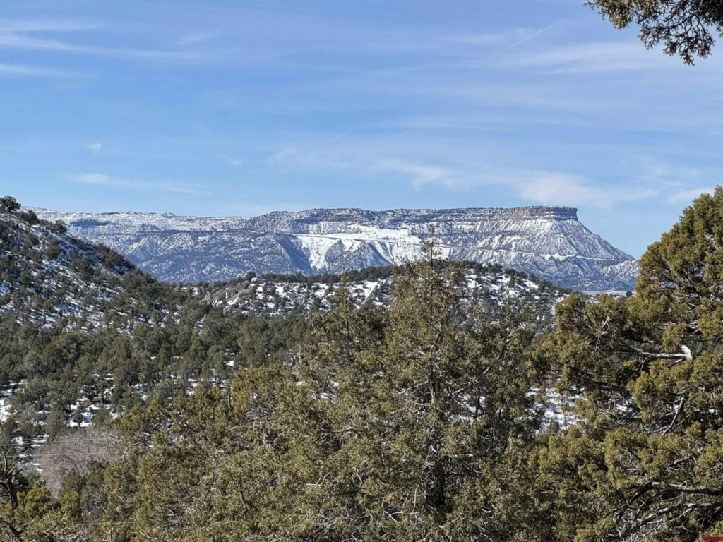 Property photo for land for sale in Montezuma County Colorado