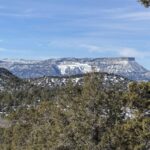 Property photo for land for sale in Montezuma County Colorado