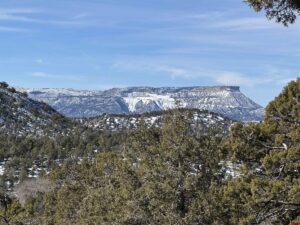 Property photo for land for sale in Montezuma County Colorado