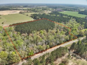 Property photo for land for sale in Houston County Alabama