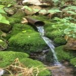 Property photo for land for sale in Marion County Arkansas