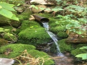 Property photo for land for sale in Marion County Arkansas
