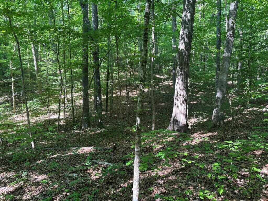 Property photo for land for sale in Mecklenburg County Virginia