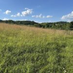 Property photo for land for sale in Hawkins County Tennessee